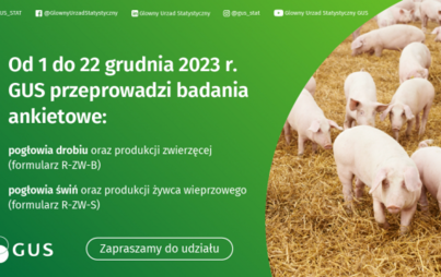 Zdjęcie do Badanie statystyczne z zakresu rolnictwa od 1 do 22 grudnia 2023 r. 