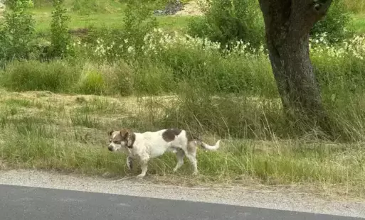 Zdjęcie artykułu z dnia 09-07-2025